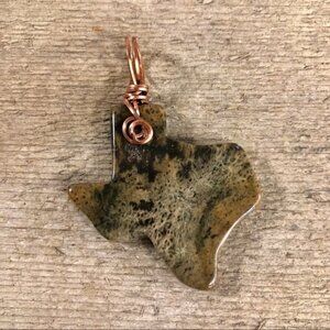 Petrified Wood Texas Necklace Pendant